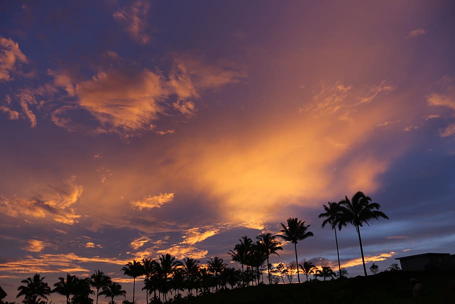 environment, sky, clouds, sunset, nature, cloudscape, weather HD wallpaper