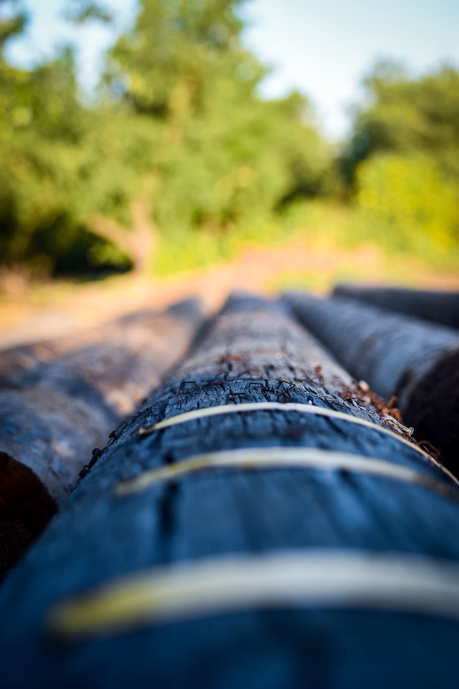 field, wood, tree, rail transportation, railroad track, plant HD wallpaper