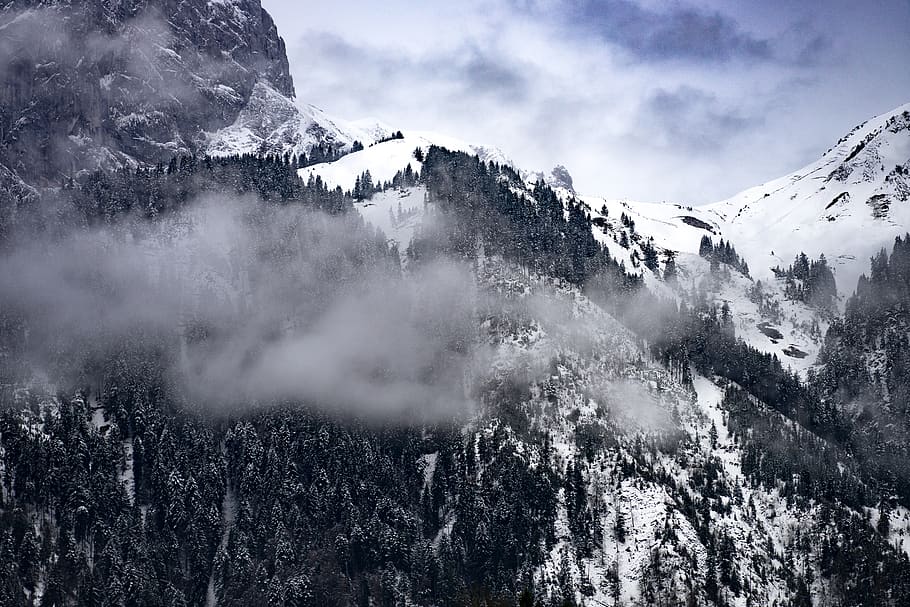 mountain, valley, tree, plant, nature, landscape, clouds, sky HD wallpaper