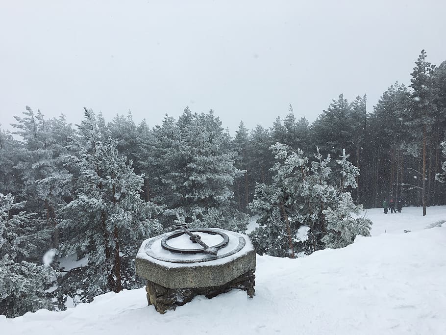 españa, rascafría, snow, trees, forest, winter, cold temperature HD wallpaper