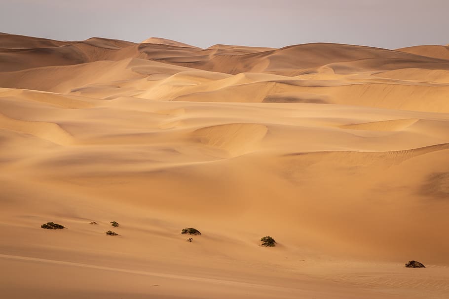 desert at daytime, sand dune, scenics - nature, landscape, arid climate HD wallpaper