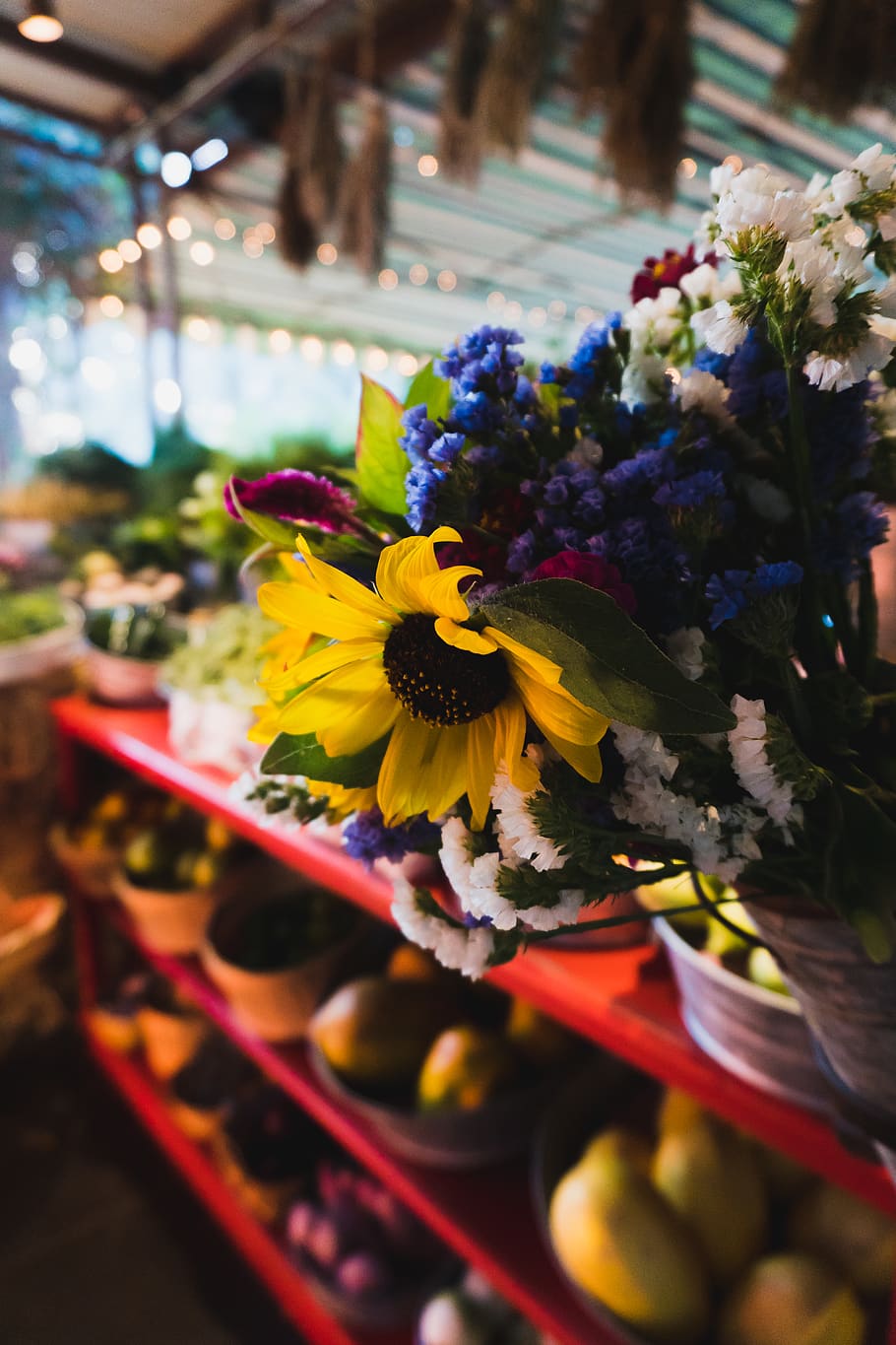 mexico, cabo san lucas, sunflower, market, colors, flowers, HD wallpaper