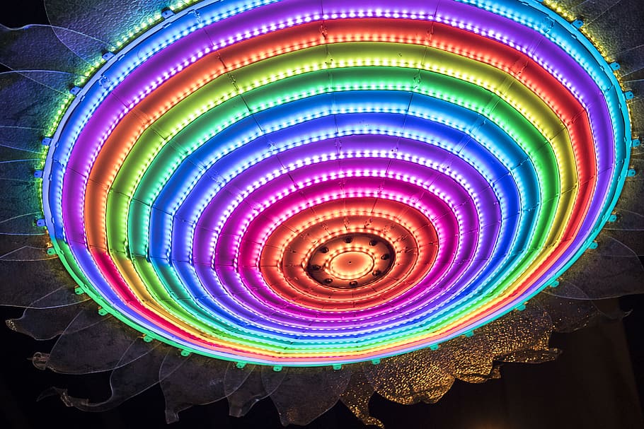 rainbow, flower, multi colored, illuminated, pattern, no people HD wallpaper