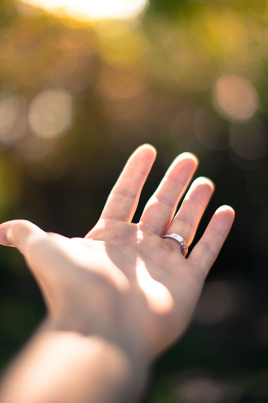 reach, hand, light, sunlight, outdoor, travel, adventure, bokeh HD wallpaper