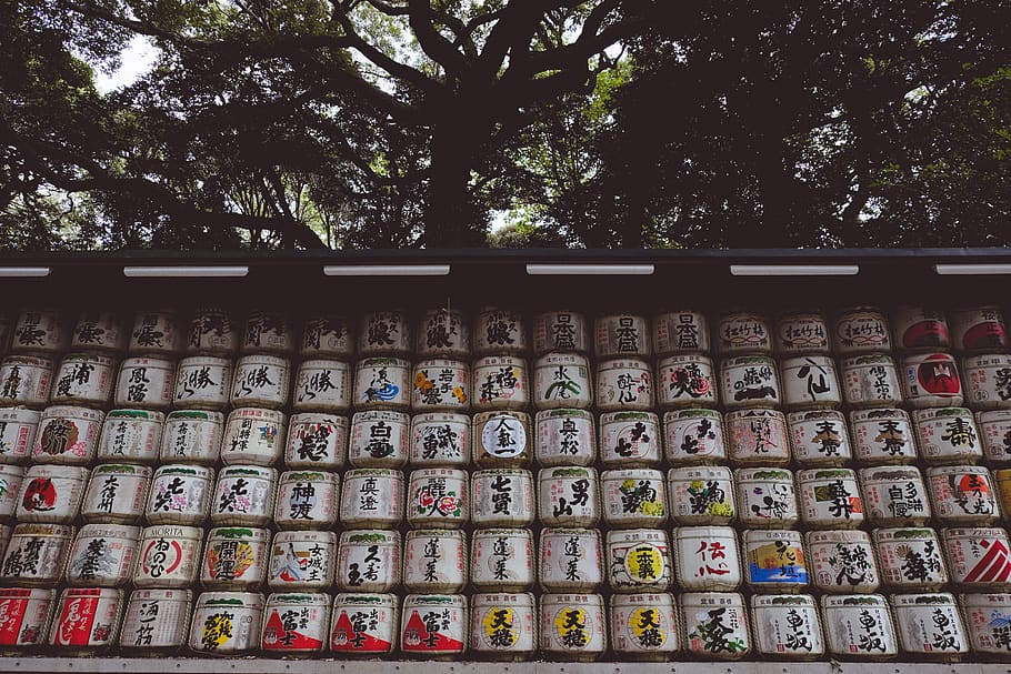 japan, shibuya-ku, meiji jingu, side by side, no people, tree, HD wallpaper