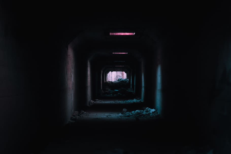 empty tunnel with spotlights, rock, corridor, dark, forest, mysteriou