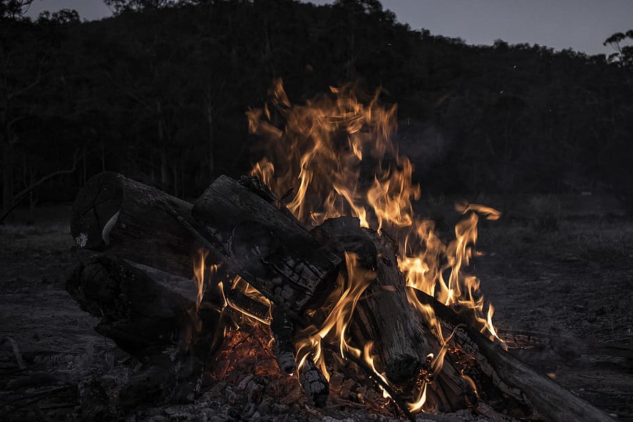 bonfire during daytime, burning, flame, fire - natural phenomenon HD wallpaper