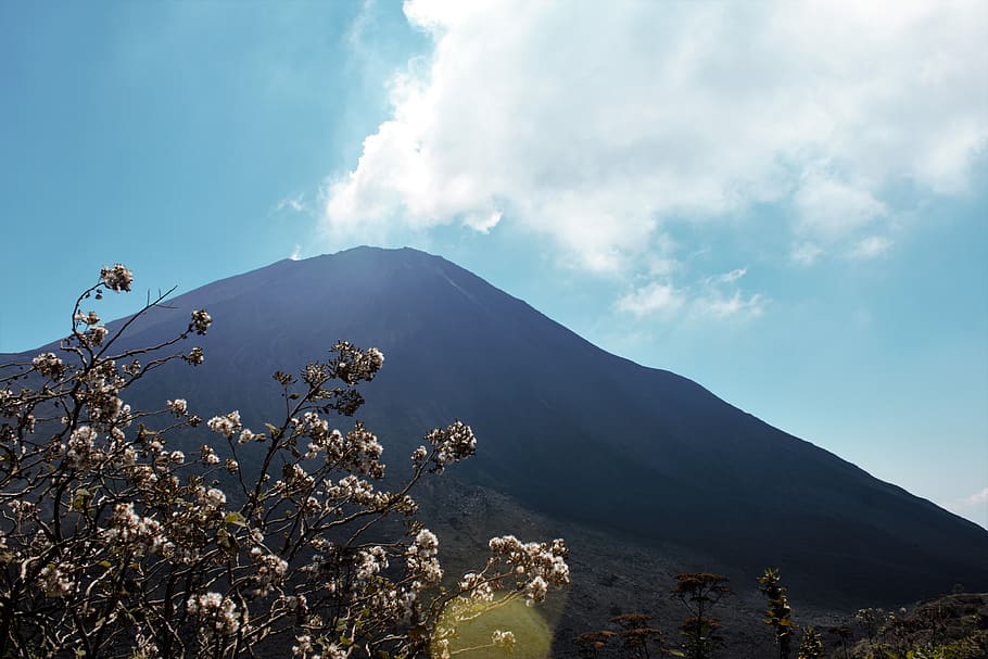 volcano, sun, gas, peak, mountain, volcano ash, sunny, flora HD wallpaper
