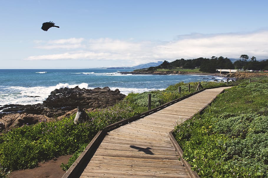 united states, cambria, pacific, california, boardwalk, sidewalk, HD wallpaper