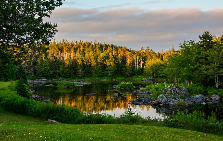 river, forest, landscape, reflection, green, twilight, clouds HD wallpaper