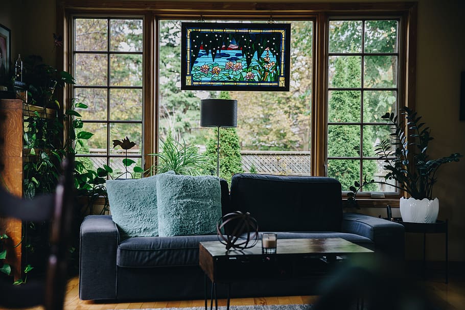 Cozy Livingroom With Window Photo, Home, Walls, Plants, Furniture, HD wallpaper