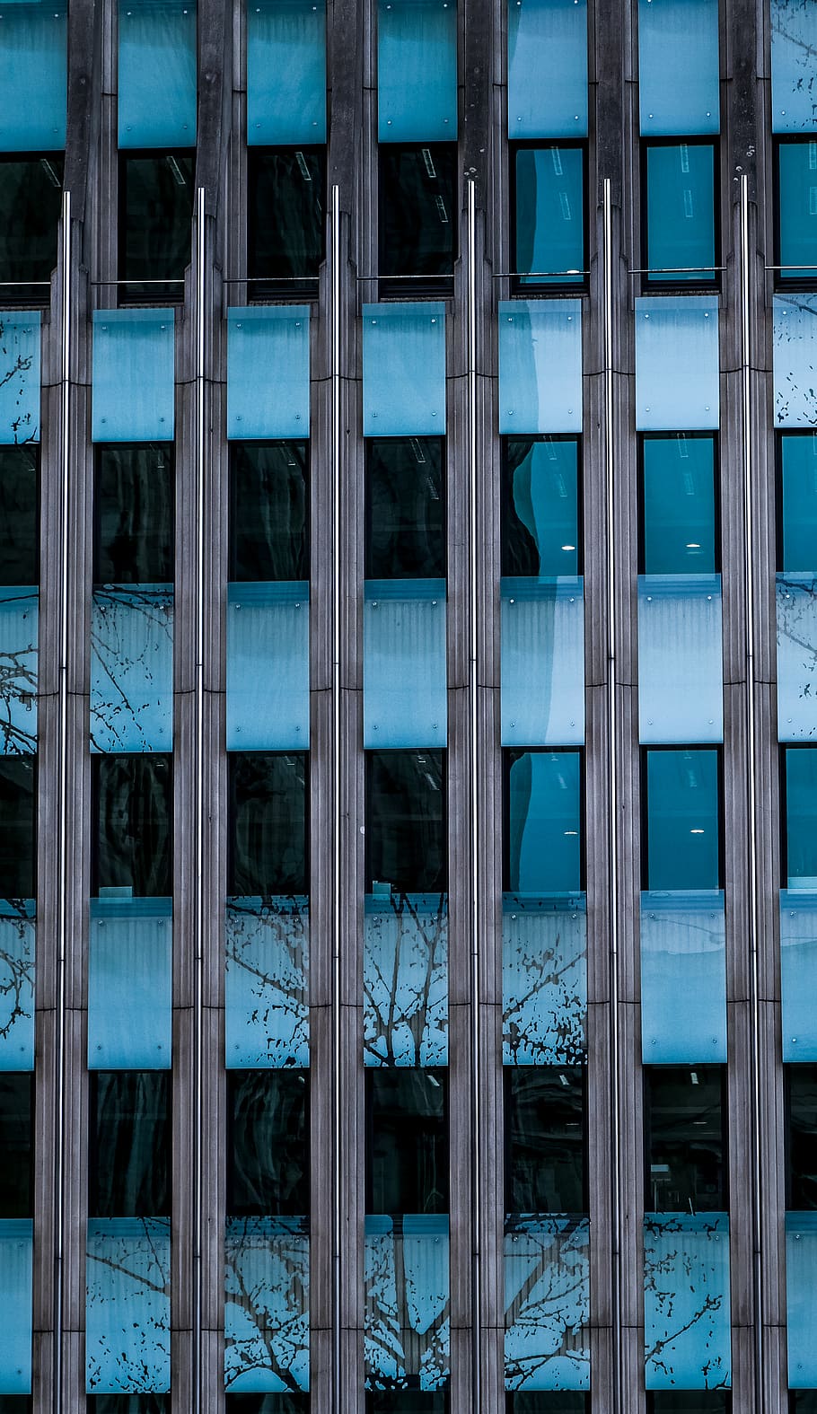 belgium, brussels, building exterior, architecture, built structure HD wallpaper