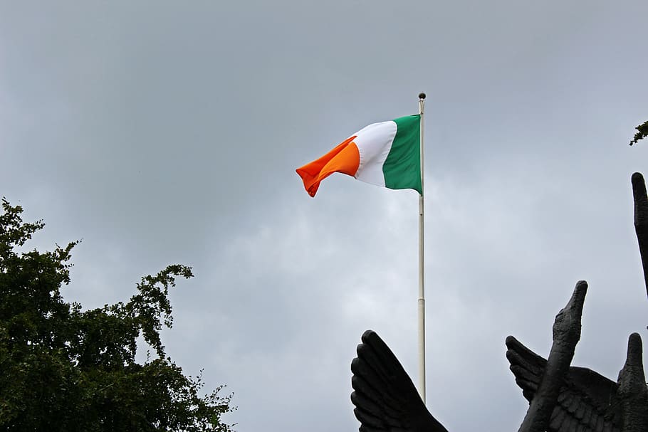 ireland, dublin, irish flag, sky, low angle view, tree, plant