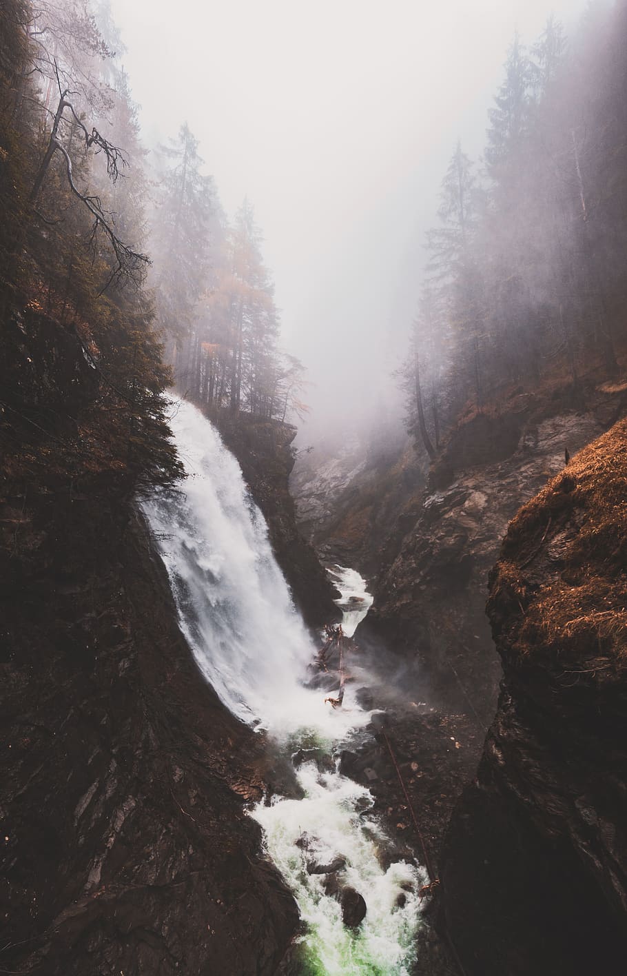 fog surrounding forest with waterfalls, tree, scenics - nature HD wallpaper