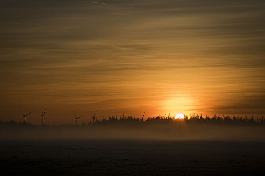 dawn, sun, landscape, tree, fog, clouds, peaceful, forest, sky HD wallpaper