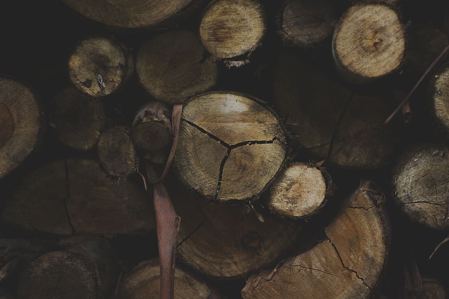 india, munnar, wood - material, firewood, stack, log, timber HD wallpaper