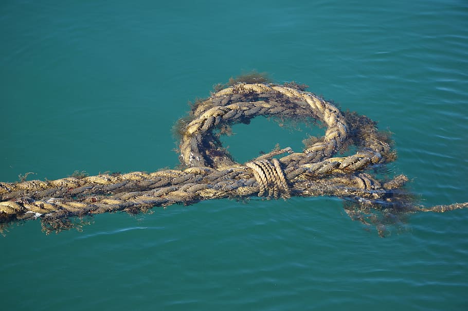 ocean, rope, turquoise, blue, sea, knot, water, marine, wet HD wallpaper