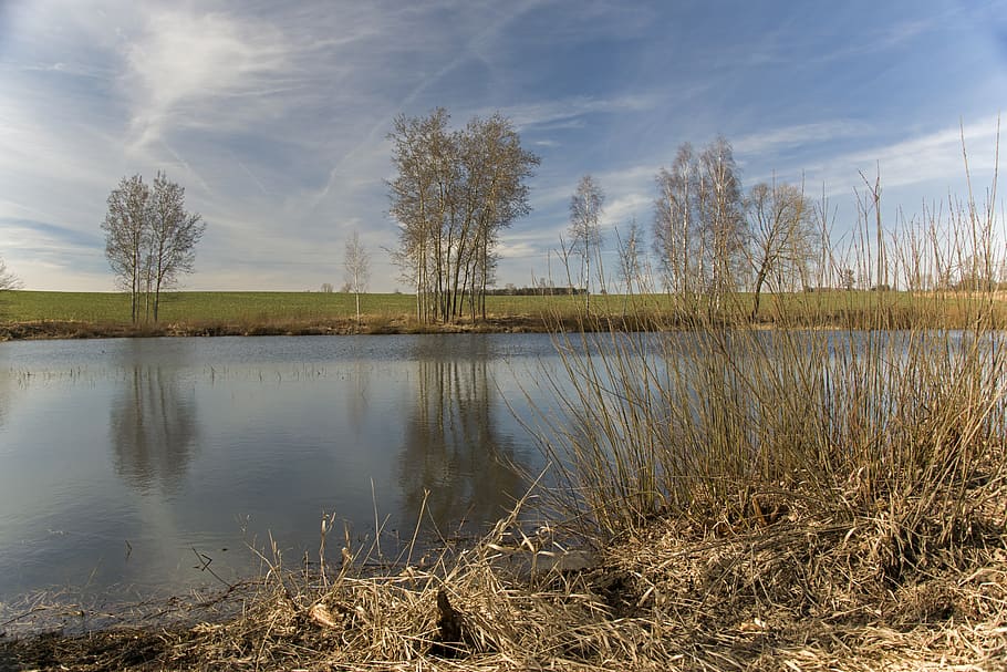 pond, water, reflection, nature, spring, autumn, tree, trees HD wallpaper