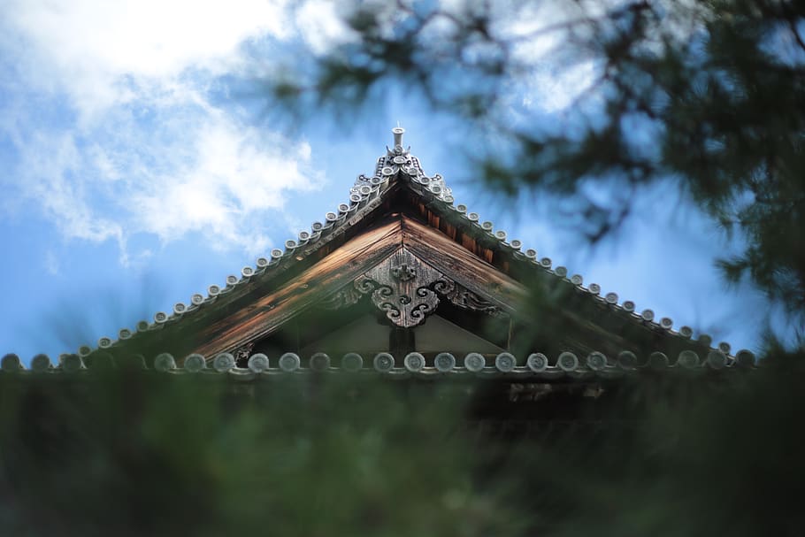 japan, kyoto prefecture, japão, wood, roof, todai-ji, templo, HD wallpaper