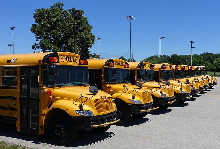 vehicle, schoolbus, yellow, transportation, mode of transportation HD wallpaper