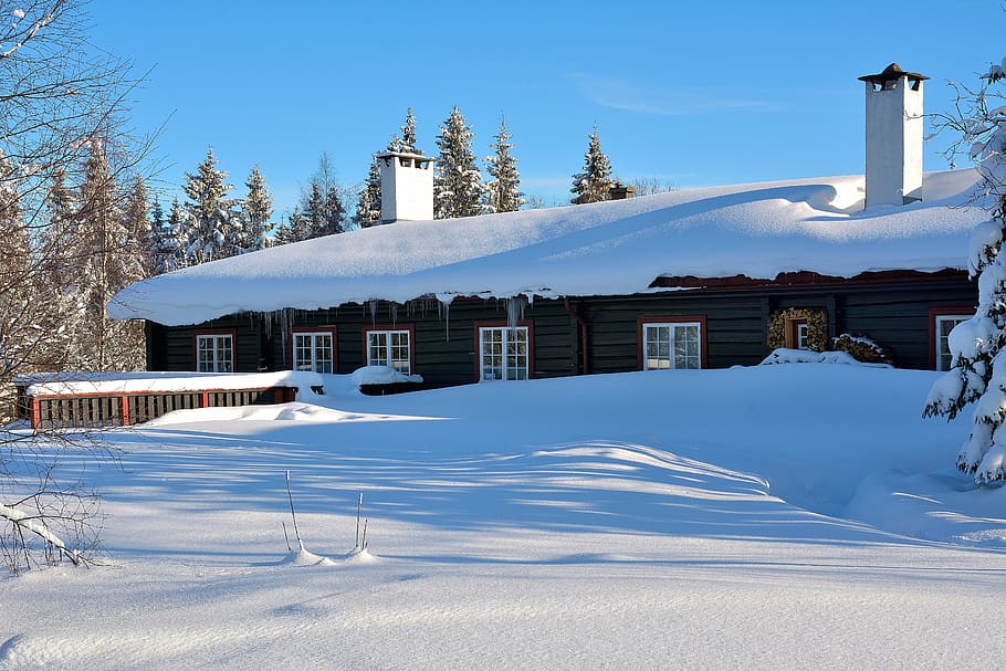 snow, house, tree, winter, nature, trees, white, cold, snowy HD wallpaper