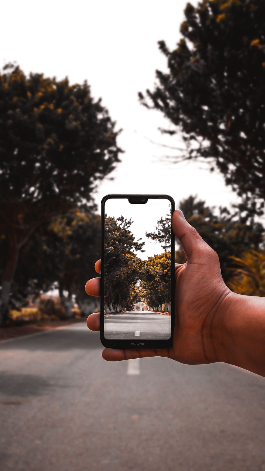phone, cellular, cellphone, hand, road, trees, human hand, holding HD wallpaper