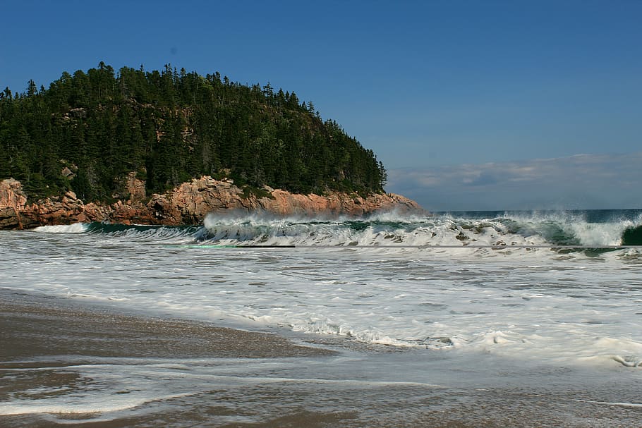 forest, atlantic, island, beach, wave, sea, water, surf, nature HD wallpaper