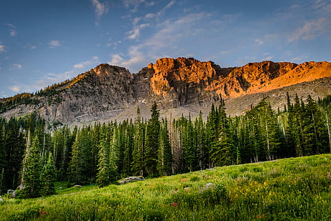 Photo Of Trees And Mountain, daylight, desktop backgrounds, forest HD wallpaper