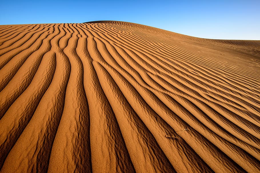 desert during daytime, land, landscape, sand dune, environment HD wallpaper