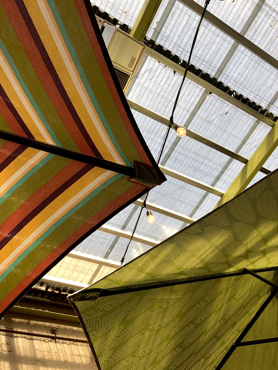architecture, window, building, skylight, cottonwood, 917 n main st HD wallpaper
