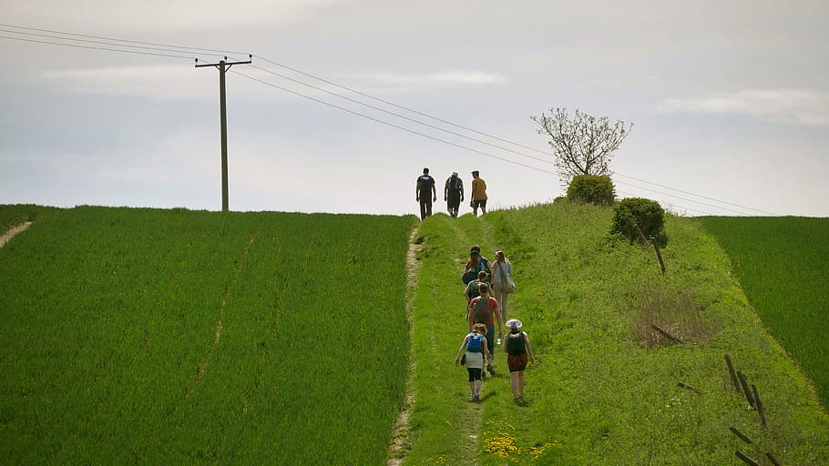 united kingdom, field, group of people, plant, real people HD wallpaper