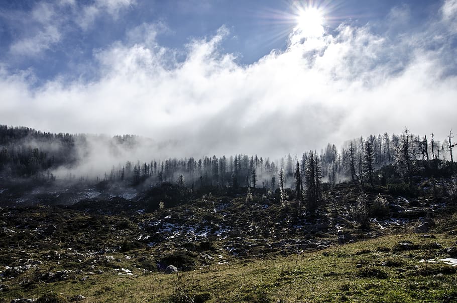 tree covered mountain under white cloudy sky during daytime, clouds HD wallpaper