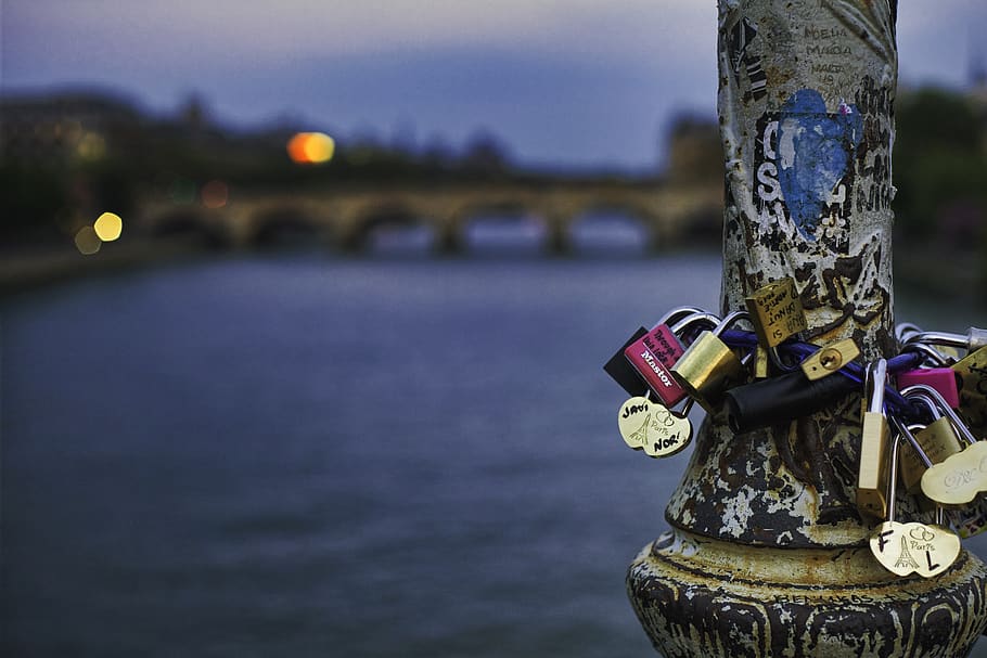 padlocks locked on post, france, paris, pont des arts, love locks