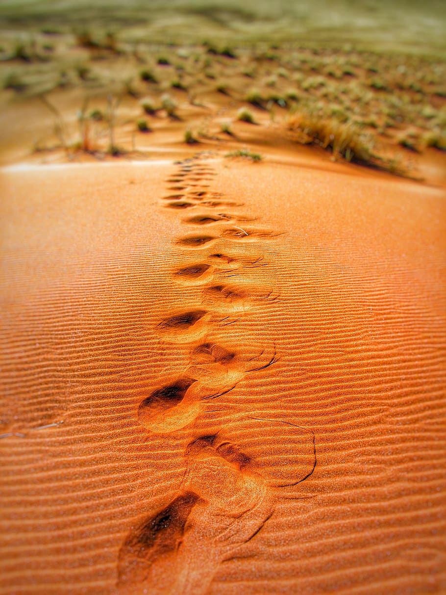 namibia, dunes, sand, step, land, landscape, environment, no people HD wallpaper