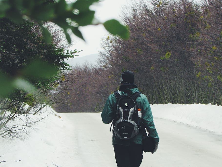 person carrying black backpack, rear view, plant, tree, real people HD wallpaper