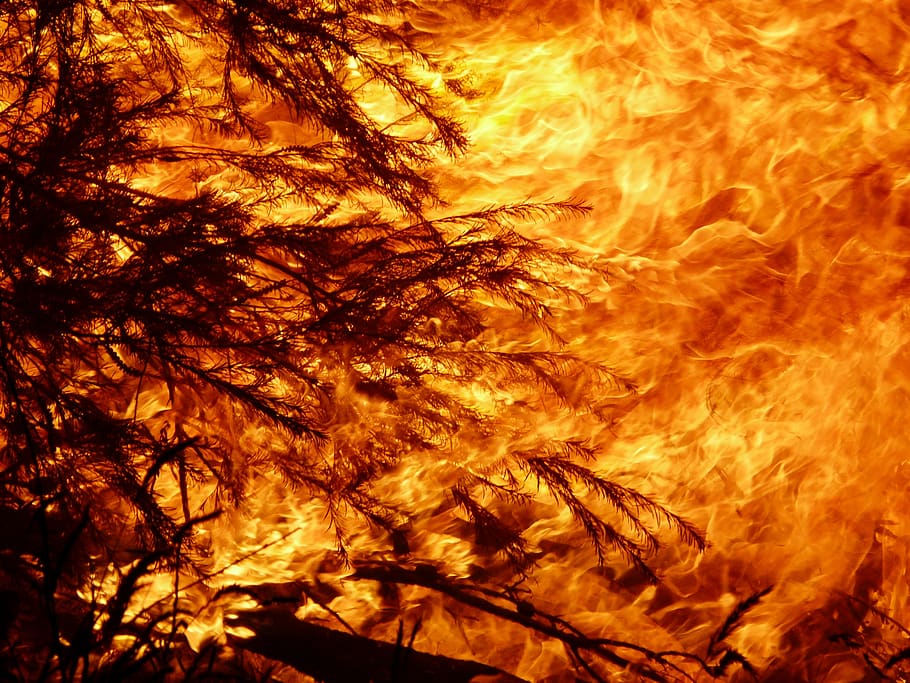 fire, heat, flame, burn, bushfire, bonfire, orange color, nature, HD wallpaper