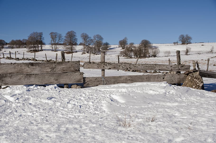 closing, fields, prairie, breeding, cold temperature, snow HD wallpaper