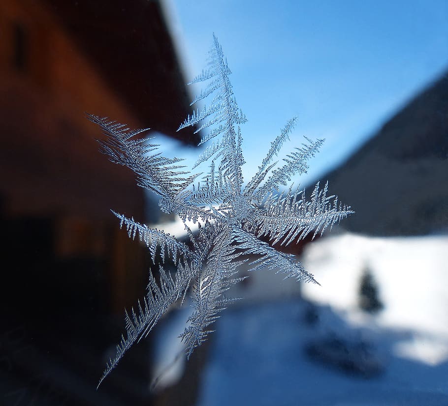 frost, crystal, ice, star, glass, winter, cold, champex, switzerland HD wallpaper
