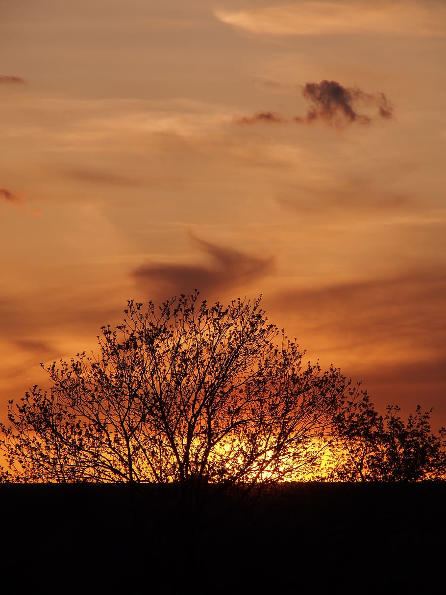 nature, landscape, clouds, orange, evening, sunset, sky, cloud - sky HD wallpaper