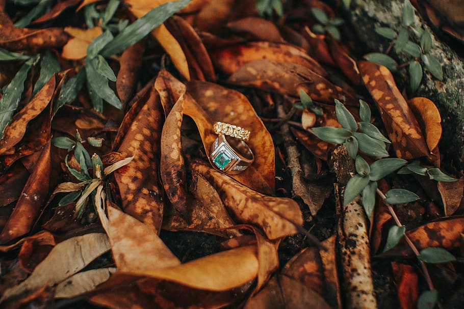 silver ring with blue gemstone, leaf, plant part, dry, nature HD wallpaper