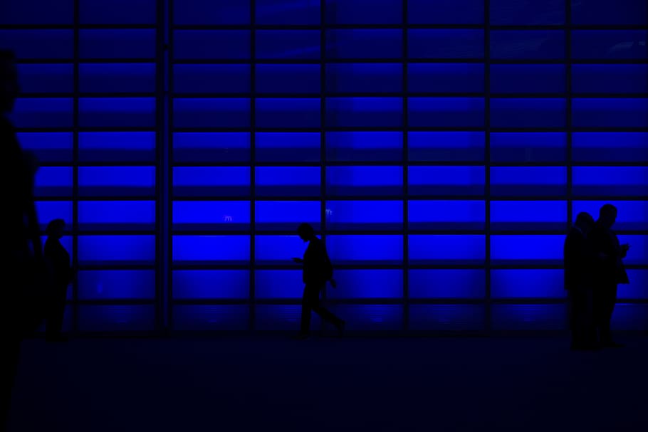 People Standing Beside Blue Wall, blue background, colors, dark HD wallpaper