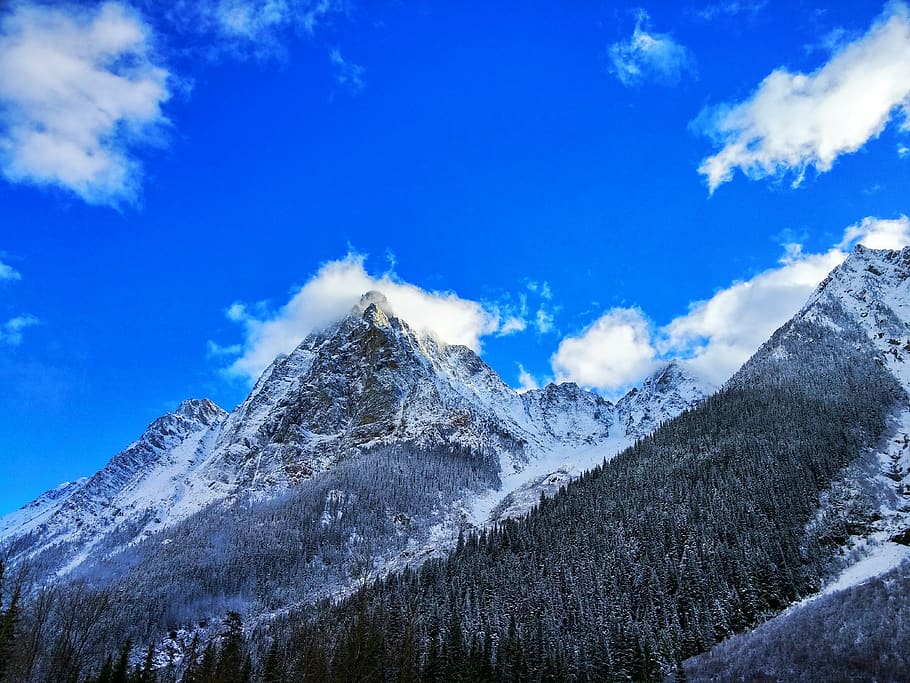 Gray Rocky Mountain Beside Pine Tree Under Blue Cloudy Sky during Day Time HD wallpaper