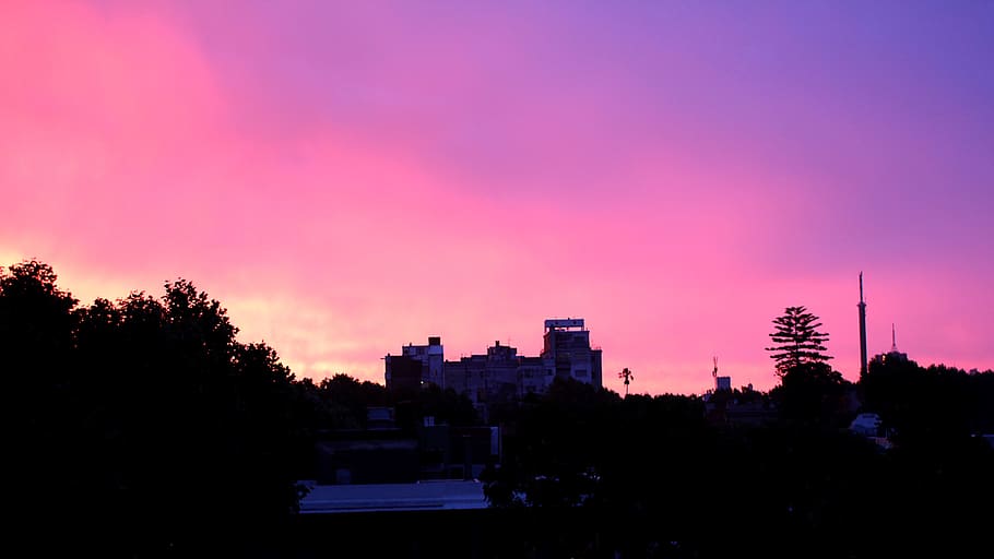 uruguay, montevideo, sky, colorful, skyline, trees, city, sunset, HD wallpaper