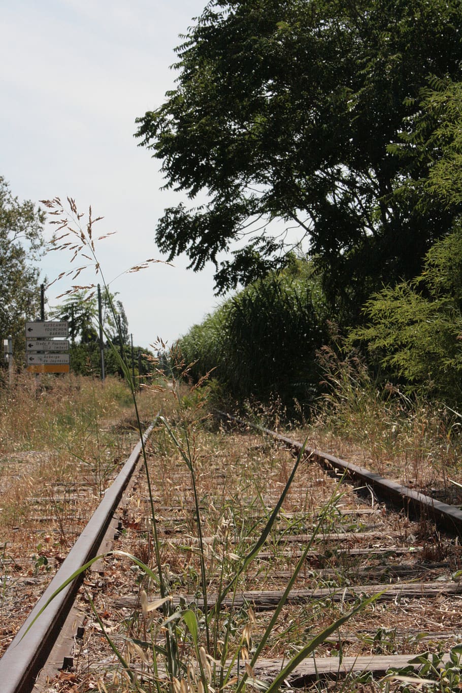grass, oats, straw, track, industrial, wasteland, train, rail transportation HD wallpaper