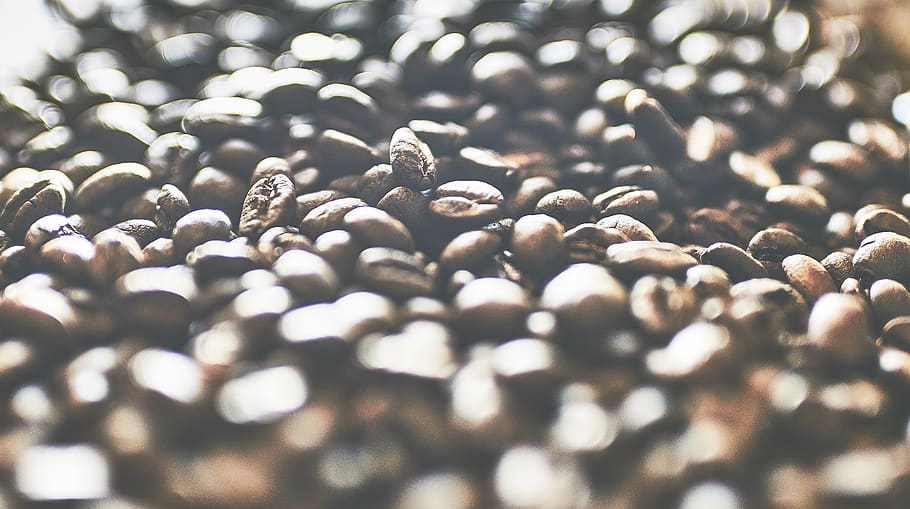 coffee beans, selective focus, abundance, no people, large group of objects HD wallpaper