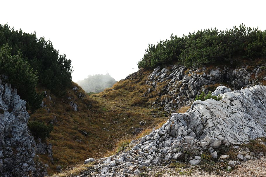 green bushes across clouds, slope, rubble, slate, dirt road, gravel HD wallpaper