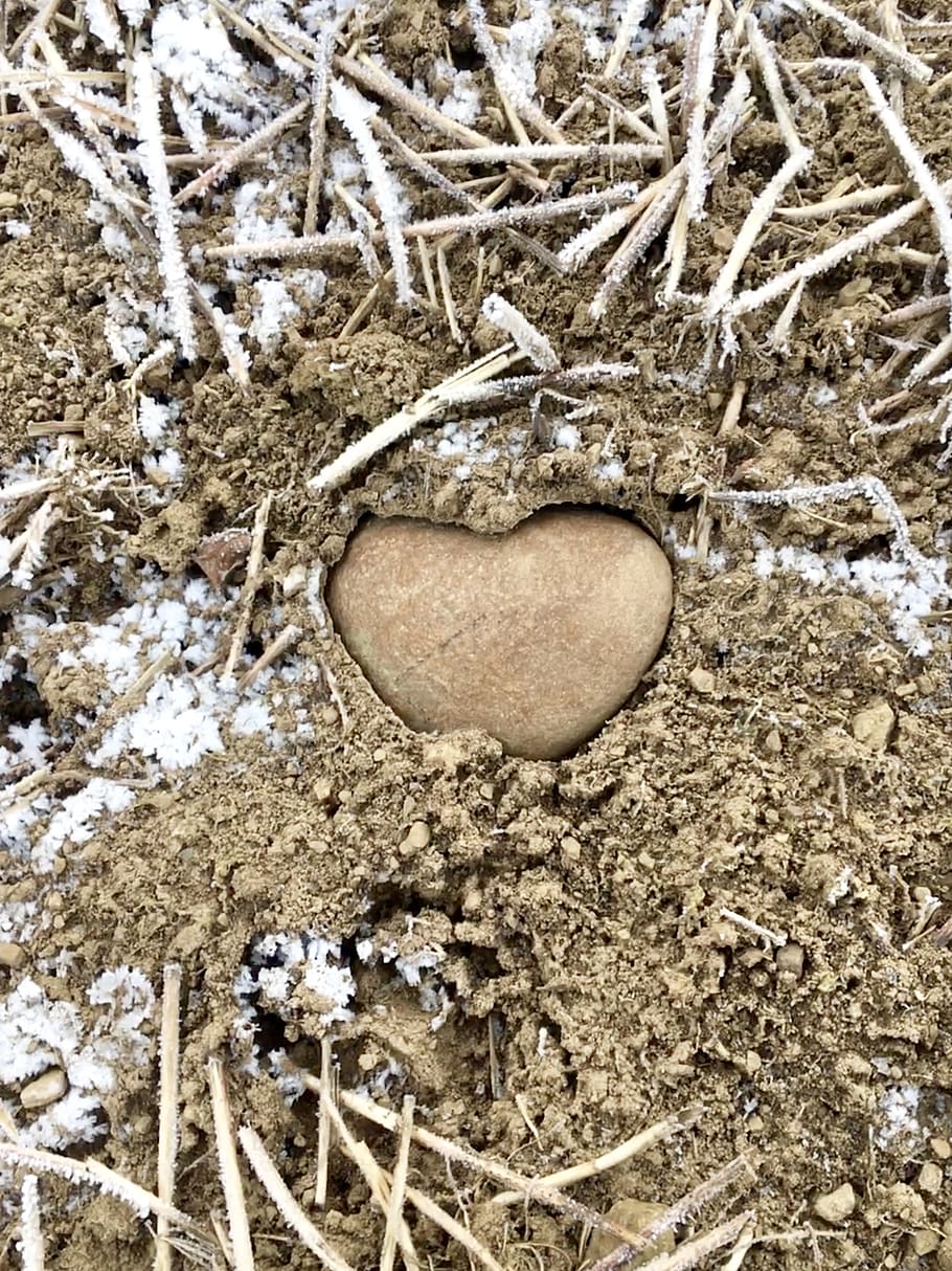 random, nature, heart, romantic, beautiful, arable, no people HD wallpaper