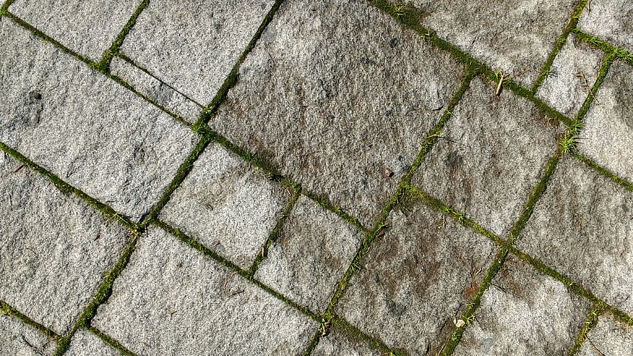 floor, moss, cement, texture, full frame, pattern, backgrounds HD wallpaper