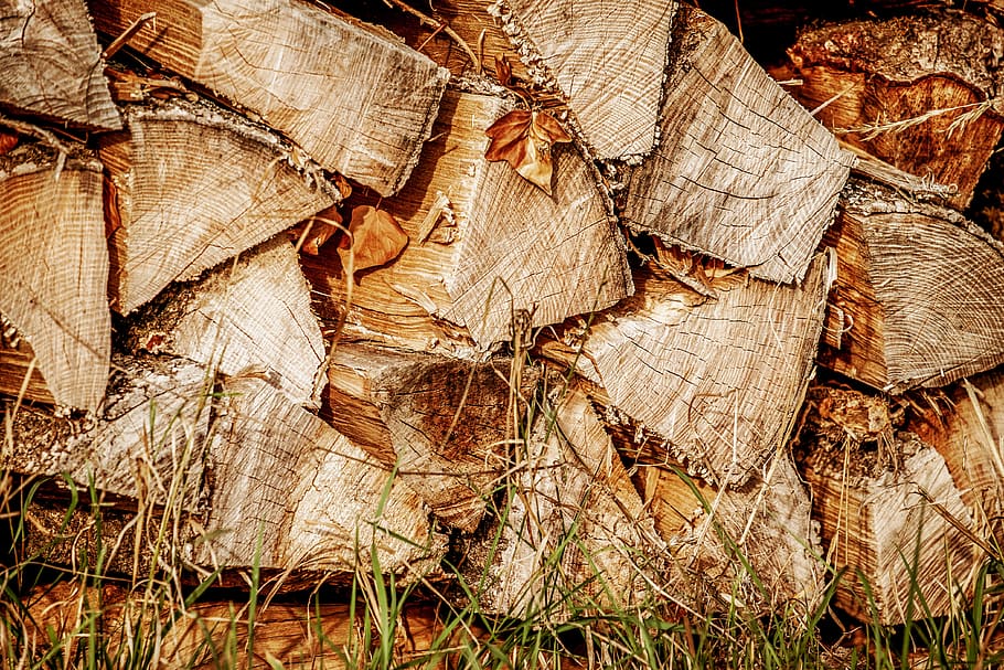 wood, logs, stacked up, timber, firewood, storage, growing stock, HD wallpaper