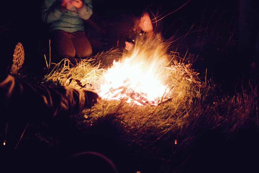 united kingdom, abbotsbury, wood, smoke, marshmallows, campfire